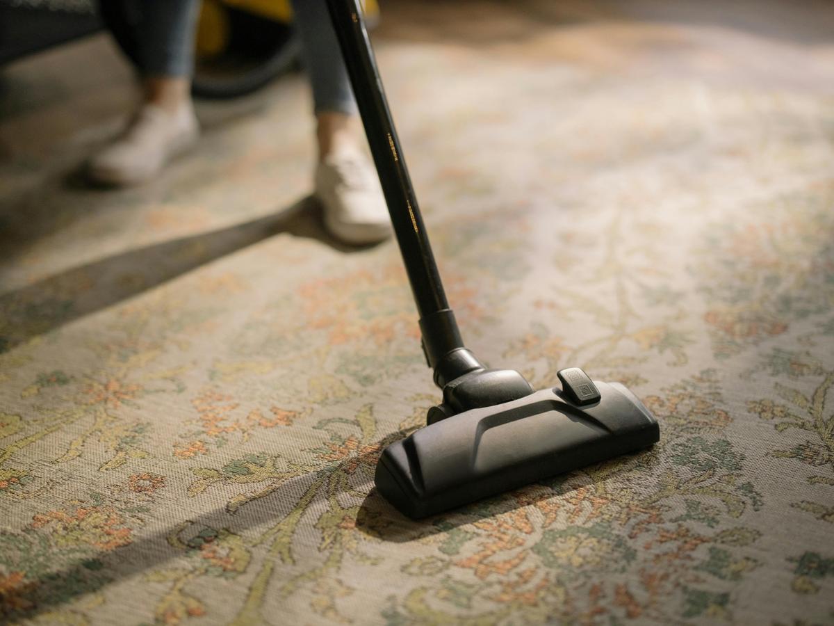 Team of cleaning professionals